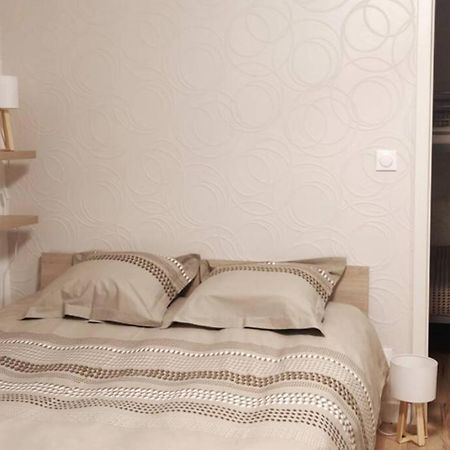 Le Cygne, Appartement De Standing En Hyper-Centre Sarreguemines Exterior foto