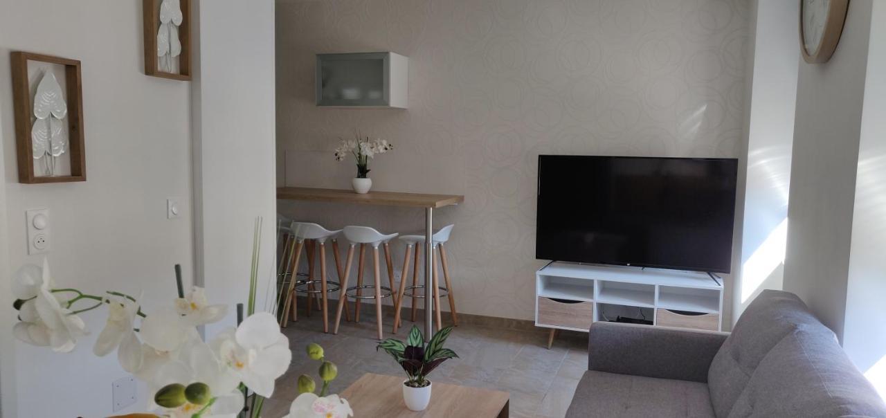 Le Cygne, Appartement De Standing En Hyper-Centre Sarreguemines Exterior foto