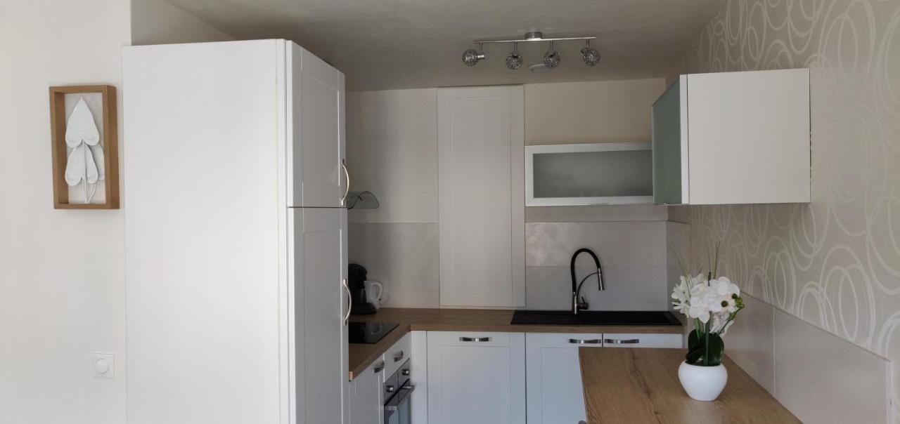 Le Cygne, Appartement De Standing En Hyper-Centre Sarreguemines Exterior foto